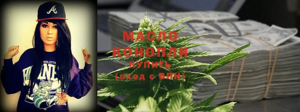 гидра Вязьма