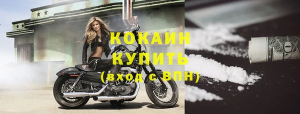 гидра Вязьма