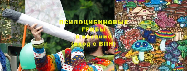 ПСИЛОЦИБИНОВЫЕ ГРИБЫ Вяземский