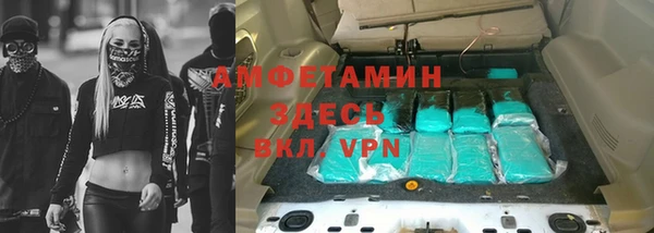 гидра Вязьма