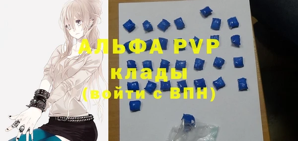 ПСИЛОЦИБИНОВЫЕ ГРИБЫ Вяземский