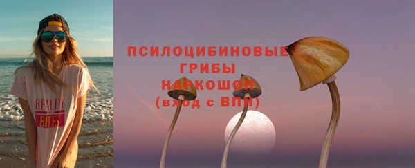 гидра Вязьма