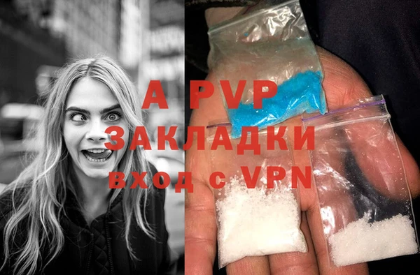 гидра Вязьма