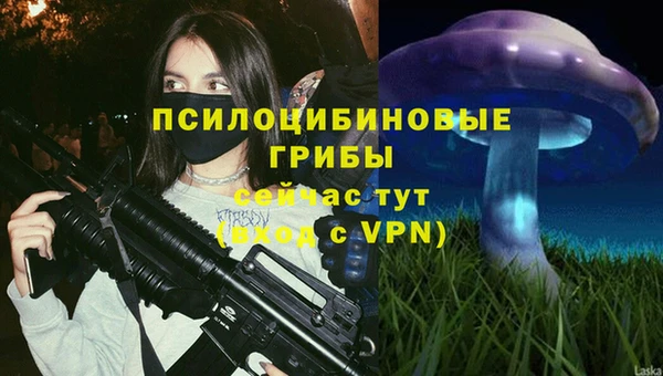 крисы Горнозаводск