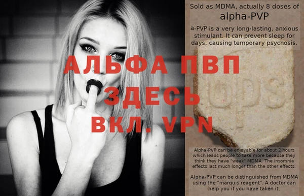 ПСИЛОЦИБИНОВЫЕ ГРИБЫ Вяземский