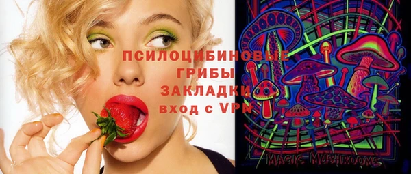 гидра Вязьма