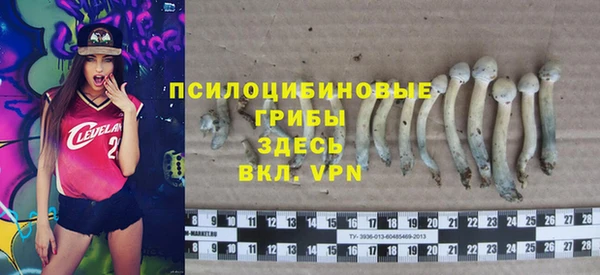 гидра Вязьма