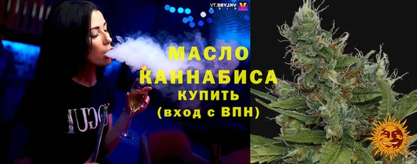 гидра Вязьма